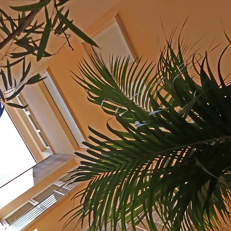 Casa vacanze Mon Repos Con Piscina Y A/a Colera