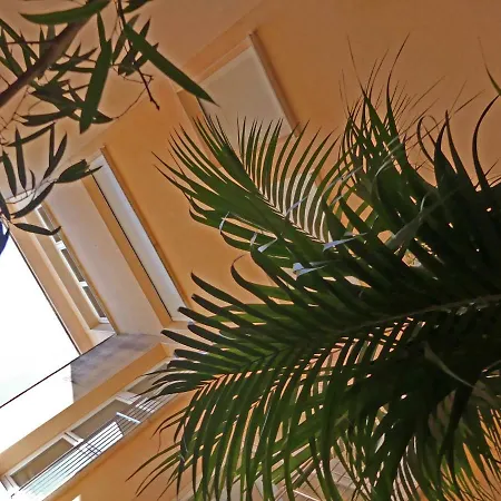 Tatil Evi Mon Repos Colera